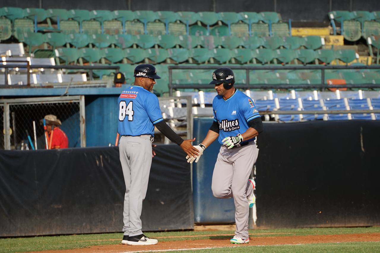 Delfines Samanes Liga Mayor