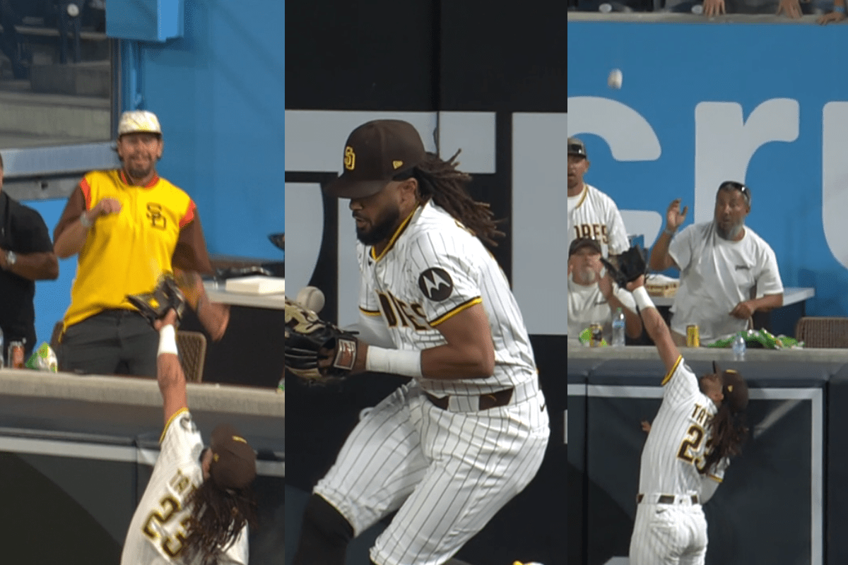 Fernando-tatis-jr-robo-home-run-mets-new-york