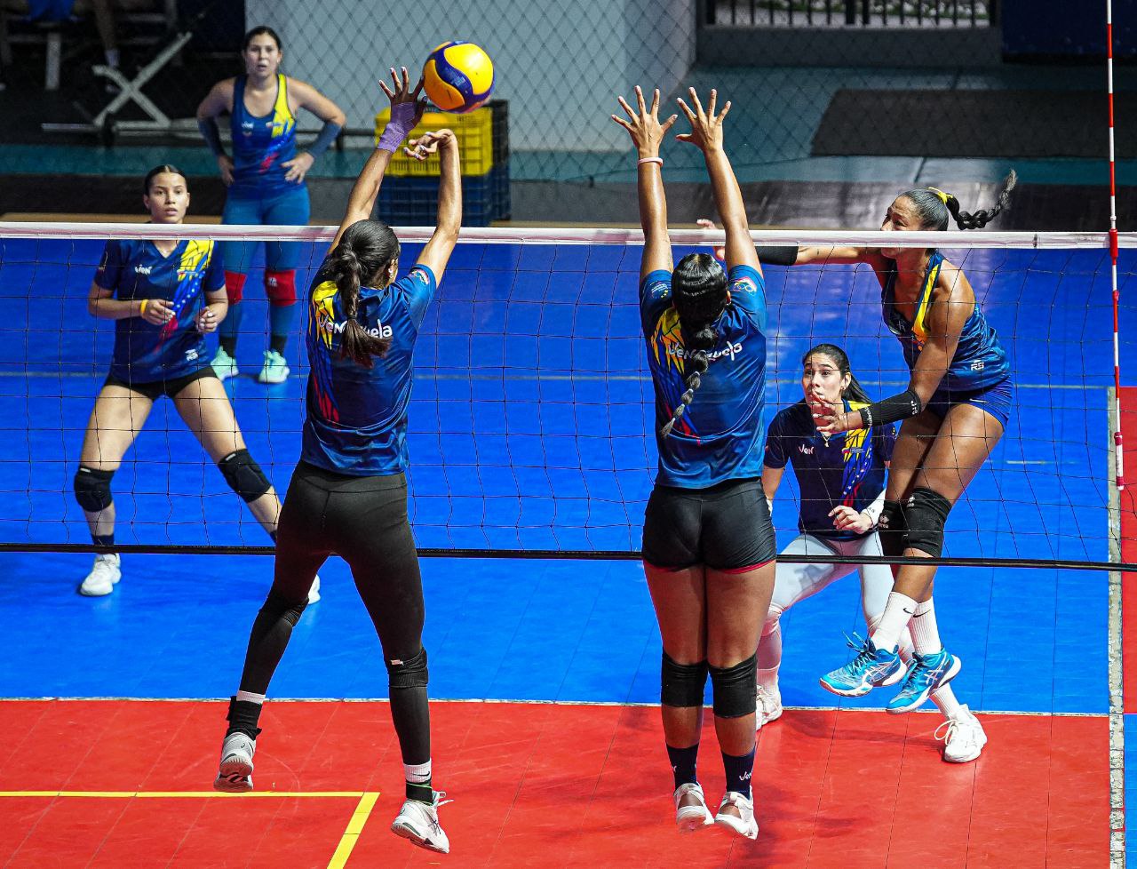 Venezuela reaparece en la Copa América