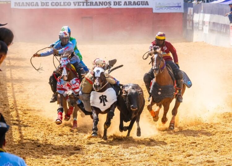 Cuatro disciplinas listas para los Nacionales