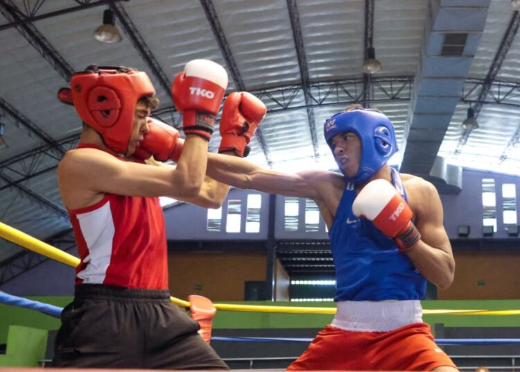 Boxeo a tope para Suramericanos