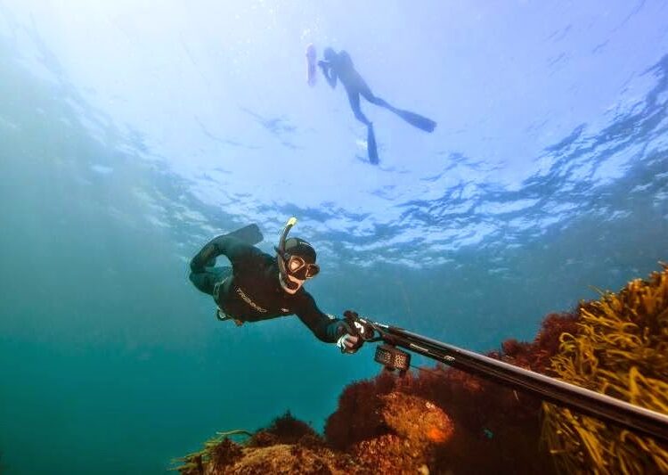 Pesca submarina define preselección nacional 