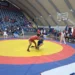 Apure dominó clasificatorio de sambo